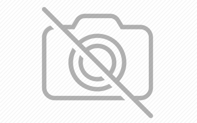 Model Araba Tutkunluğu: Bir Tutku, Bir Sanat